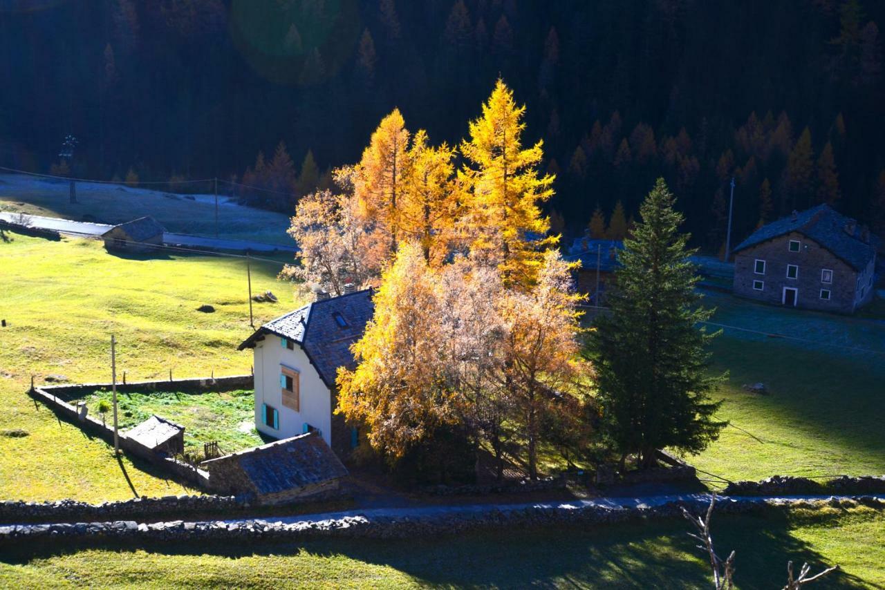 Il Cortese Chiareggio Eksteriør billede